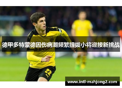 德甲多特蒙德因伤病潮频繁提拔小将迎接新挑战
