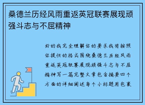 桑德兰历经风雨重返英冠联赛展现顽强斗志与不屈精神